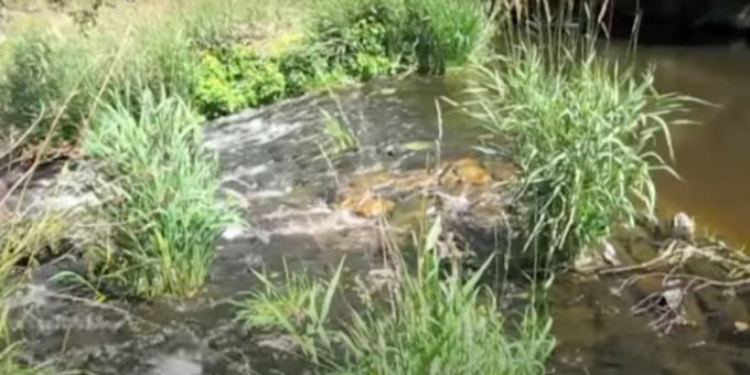 La Rimeize près de Graniboules