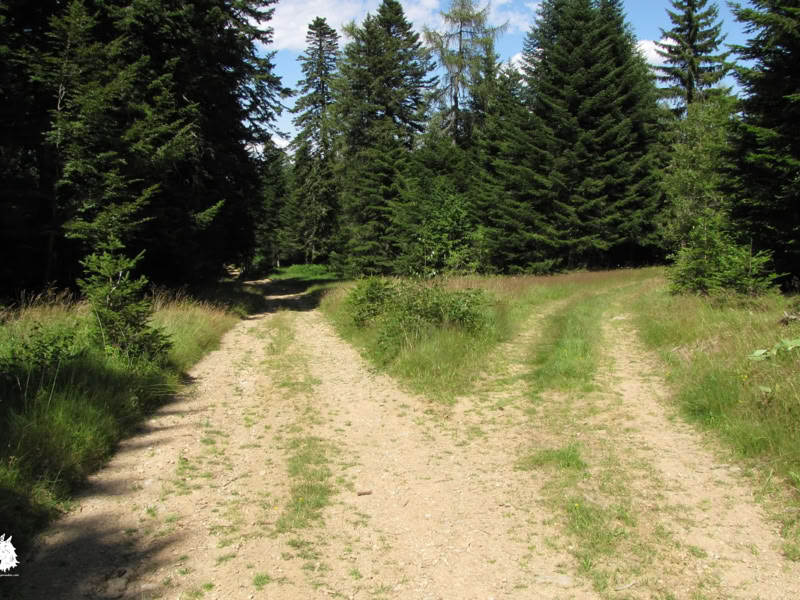 La Sogne d'Auvers, lieu ou fut tuée la Bête du Gévaudan