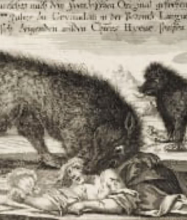 L'animal hybride, hypothèse sur la Bête du Gévaudan