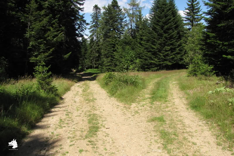 La Sogne d'Auvers, lieu ou fut tuée la Bête du Gévaudan